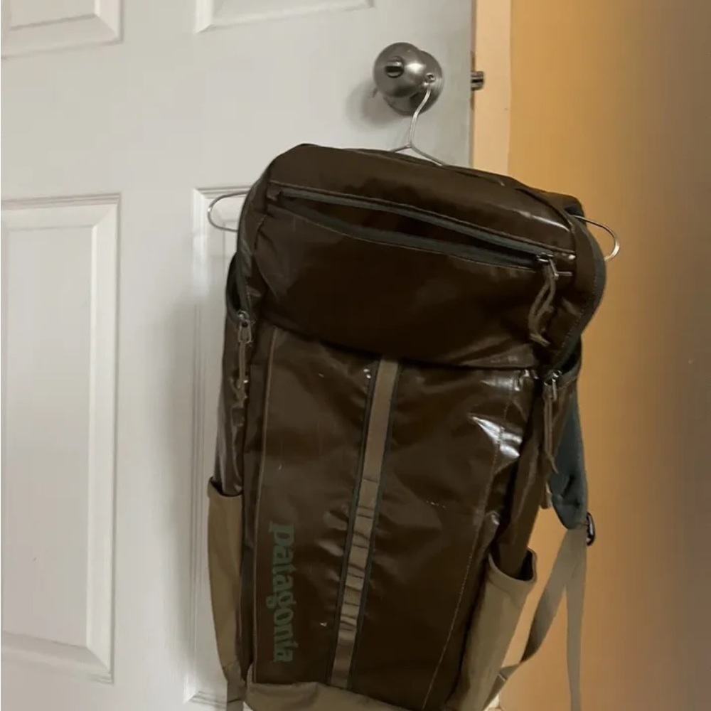 Patagonia Black Hole 25L Backpack Green